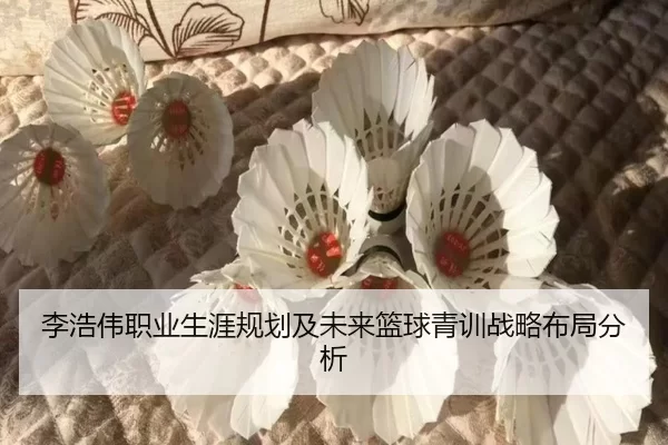 李浩伟职业生涯规划及未来篮球青训战略布局分析