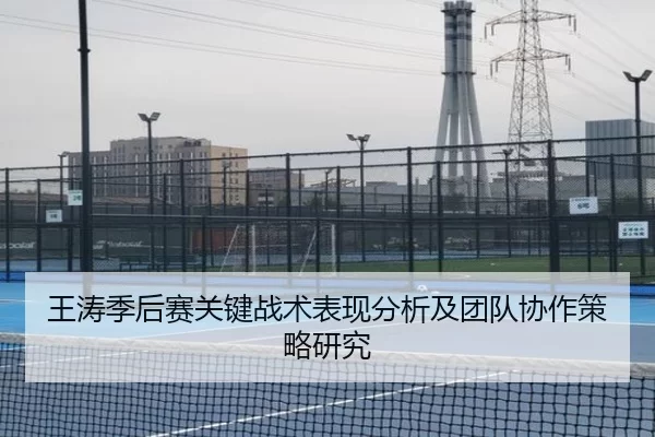 王涛季后赛关键战术表现分析及团队协作策略研究
